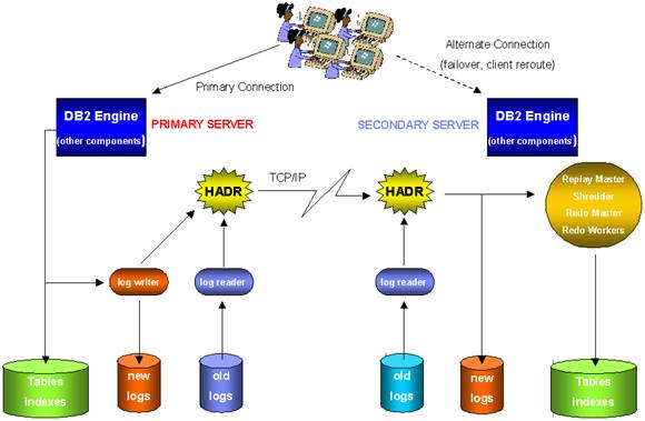 新澳精选资料免费提供开,高度协调策略执行_策略版28.760