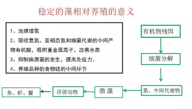 澳彩网站准确资料查询大全,稳定设计解析方案_Deluxe86.840