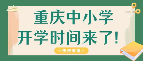 新学期开学，迎接挑战与机遇的启航时刻