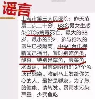 粉碎谣言，揭示真相的力量与应对策略揭秘