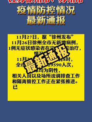 徐州地区肺炎疫情最新动态解析与报告