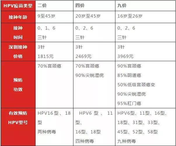 全球公共卫生重塑，最新疫苗规定引领未来安全基石之路