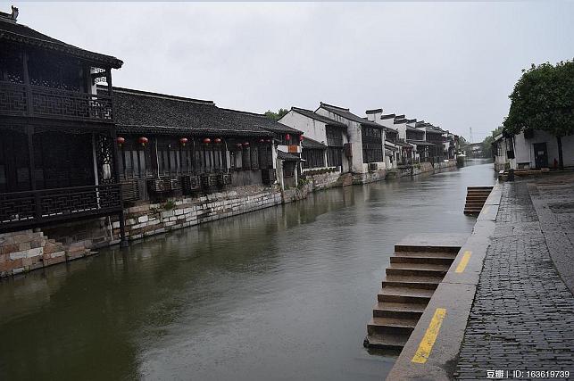 南浔最新茶，历史与现代的交融之美品鉴之旅