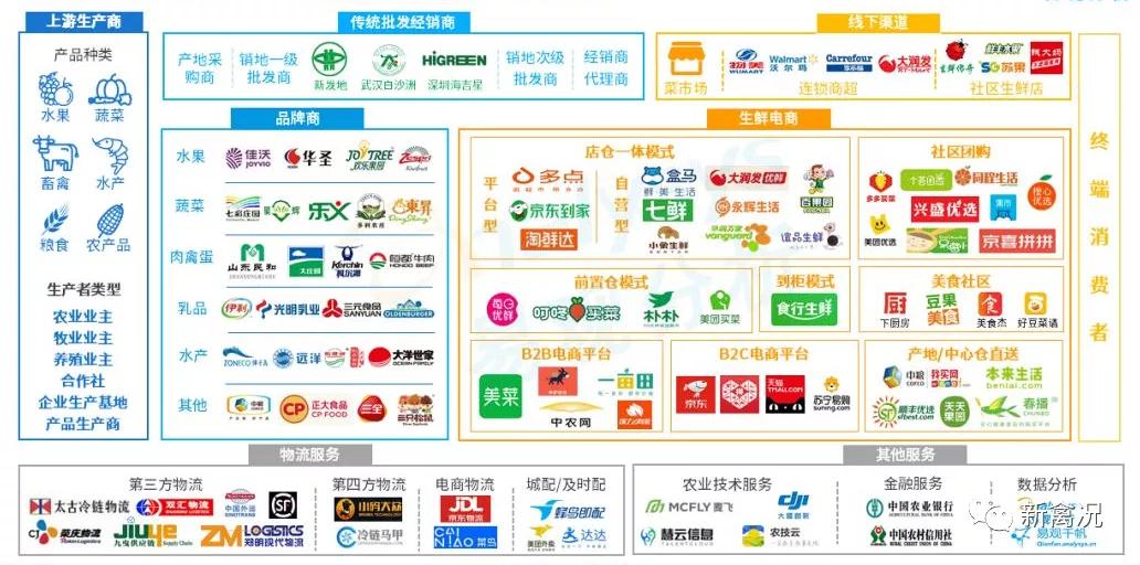 最新鸡肉市场动态解析报告