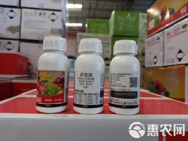 葡萄最新农药应用及其生态影响探究