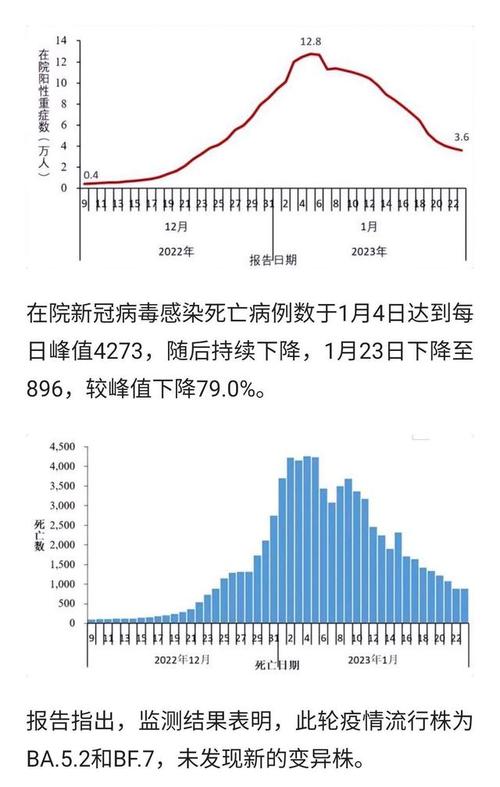 全球疫情最新动态报告概览