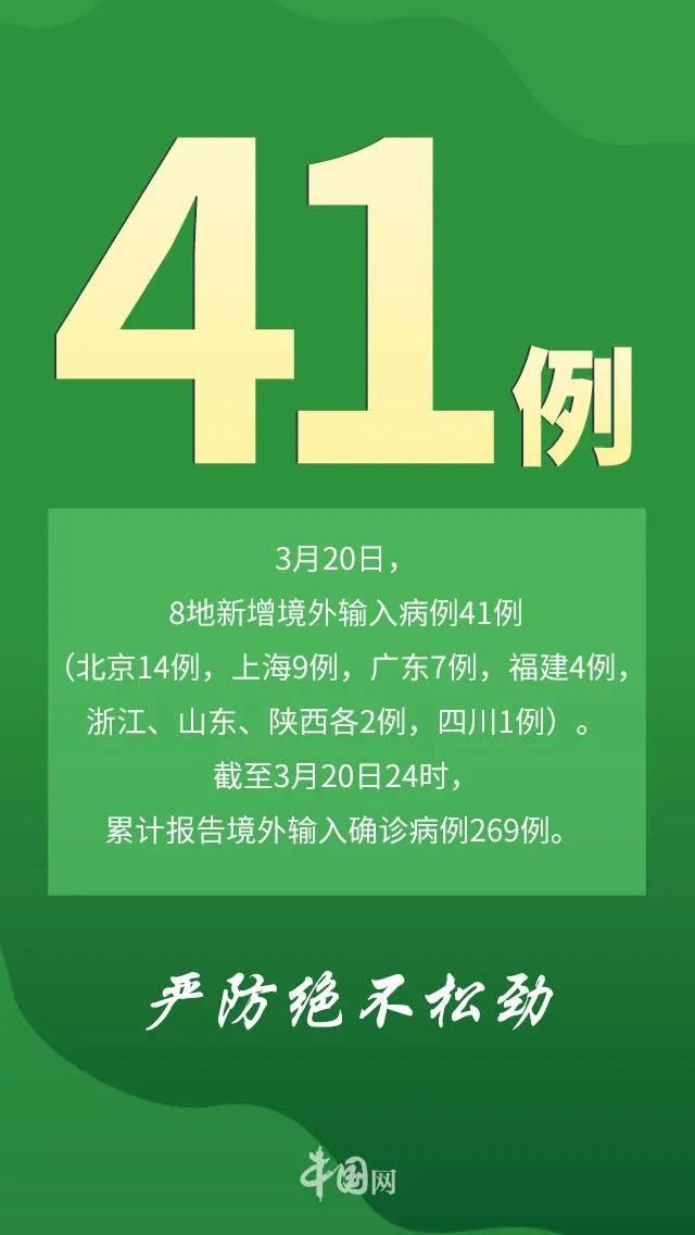 科技、社会与经济的新脉动，最新24小时动态报告速递