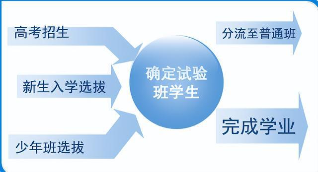 探索科学前沿，最新成果图片展示辉煌成就