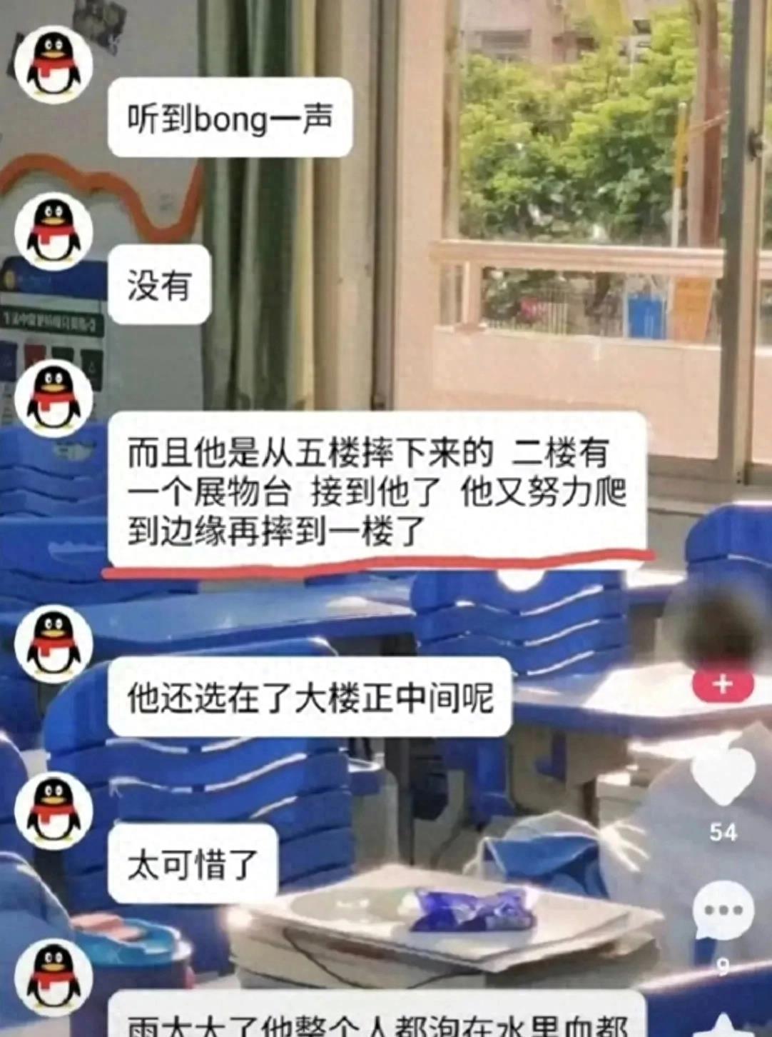 衡水最新坠楼事件，深度探究与反思