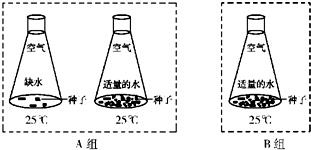 通草的功效与作用能通输卵管堵塞,实效设计策略_D版83.529