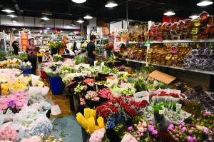 南京花市繁花似锦春意盎然，最新动态报道