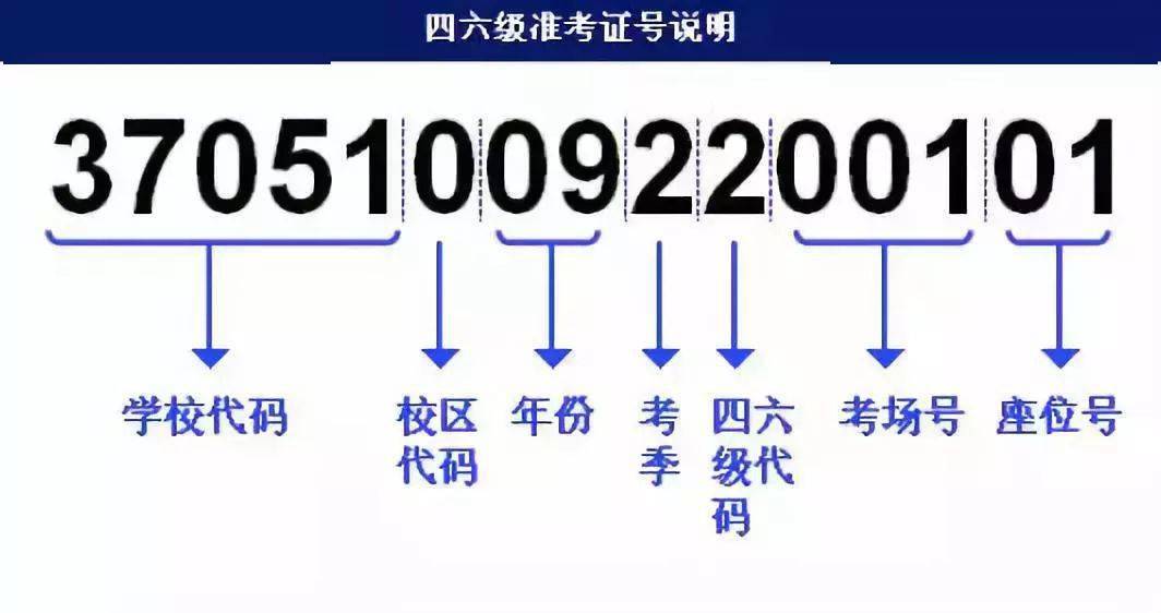 2024澳门开奖结果出来,快捷问题方案设计_尊贵版88.994