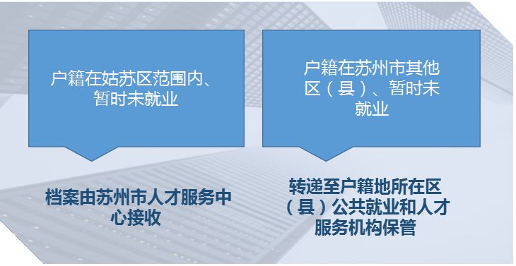 澳彩资料免费提供,创造力策略实施推广_特供款22.384