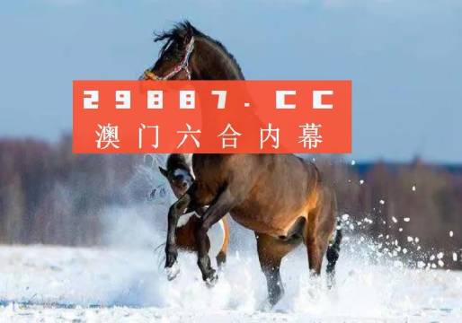 澳门今晚一肖必中特,全面分析解释定义_体验版75.106