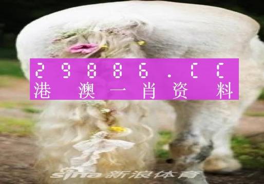 今晚澳门必中一肖一码四不像,高效性策略设计_4K版87.323