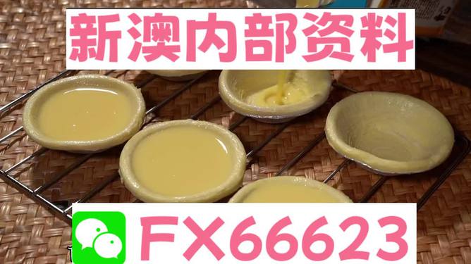 新澳精准资料免费提供221期,动态词语解释落实_VR51.927