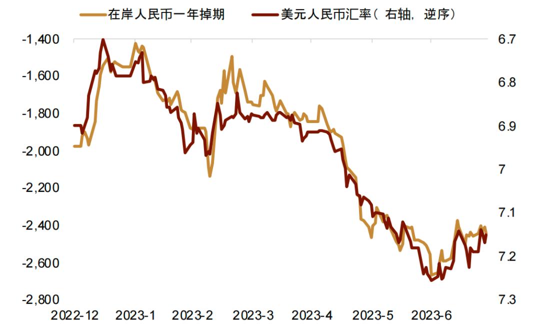 最新外汇行情深度剖析与解读