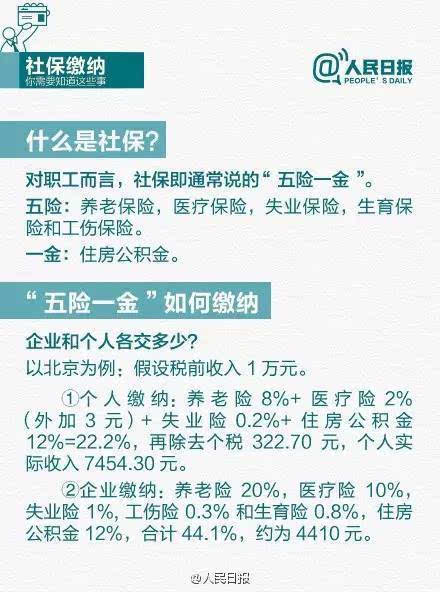 最新社保缴费比例及影响分析概览