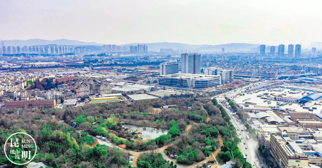 巫家坝城市新中心崛起与展望，最新消息揭秘