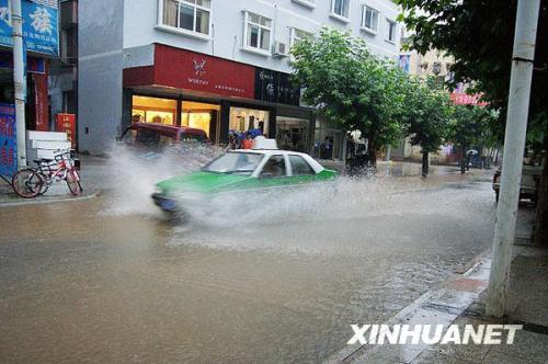 四川暴雨最新动态，现状、未来展望与影响分析