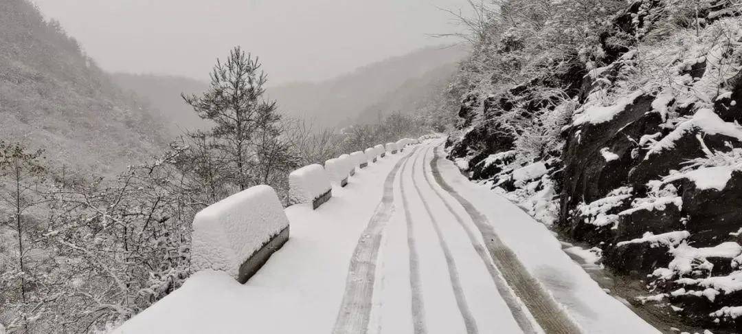 雪喜最新，美丽邂逅与独特体验之旅