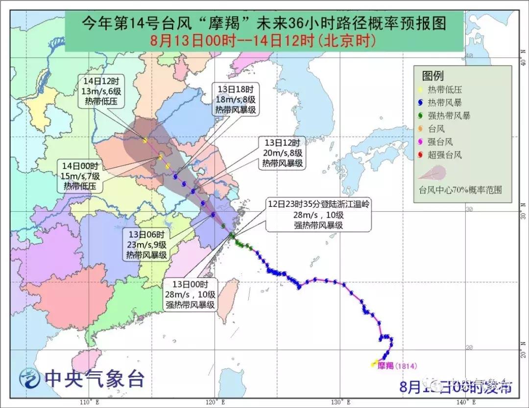 温岭最新发展策略通知，引领城市发展的步伐与方向