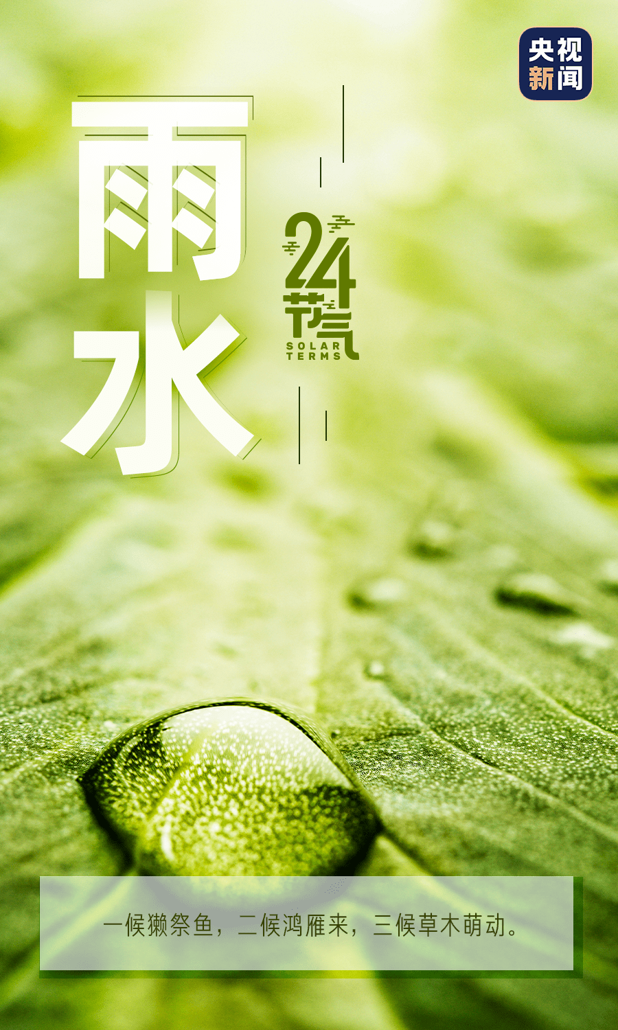 雨水节气深度解读，最新影响分析与趋势预测