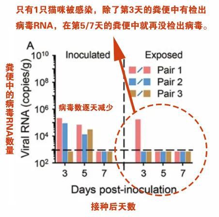 全球疫情最新病毒数量及影响解析，现状解析与趋势观察