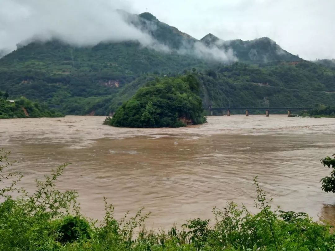 陇南最新洪水灾害及其影响分析