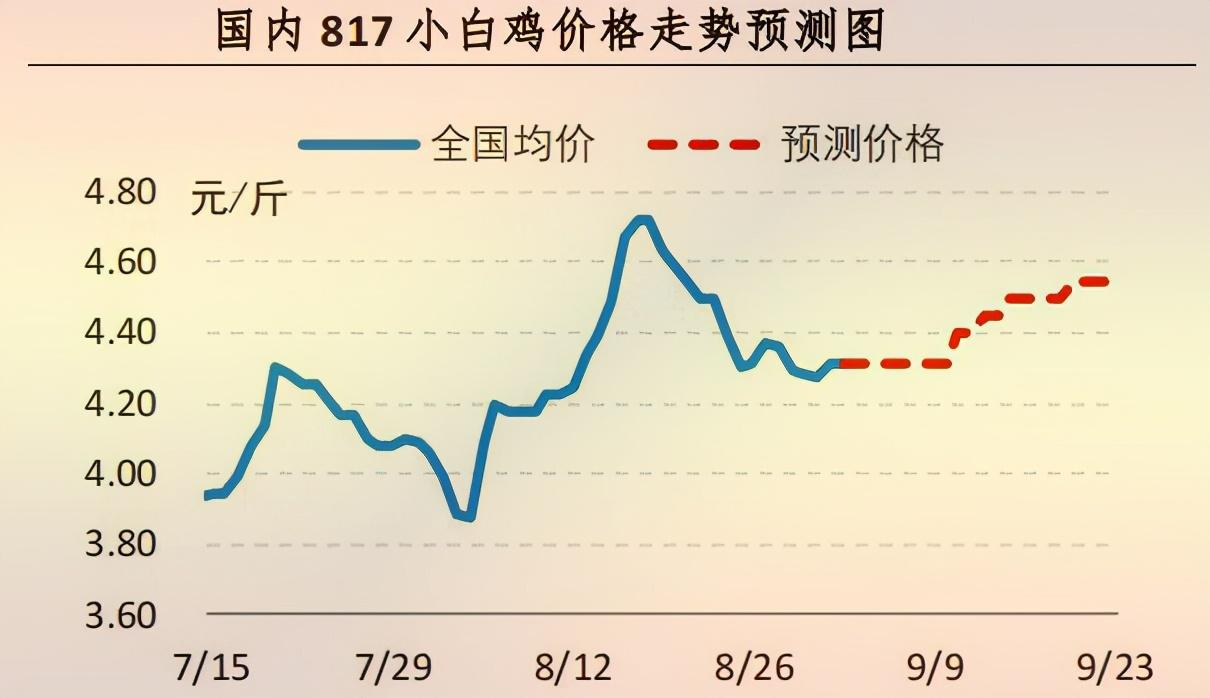 最新鸡肉市场动态解析报告