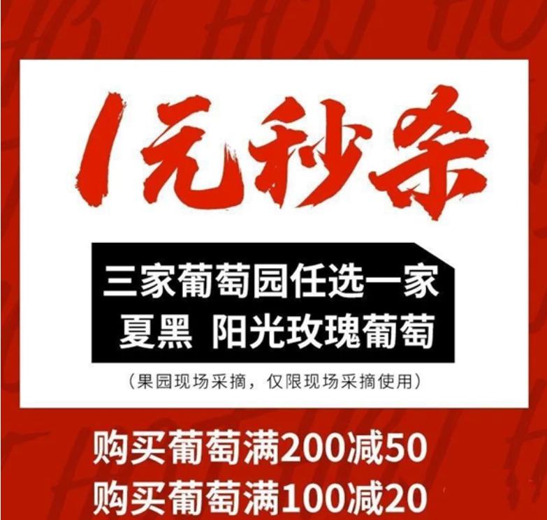 黑琪的最新探索与突破，现状与发展趋势