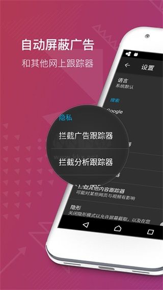 隐私浏览器下载，守护您的在线隐私的新选择