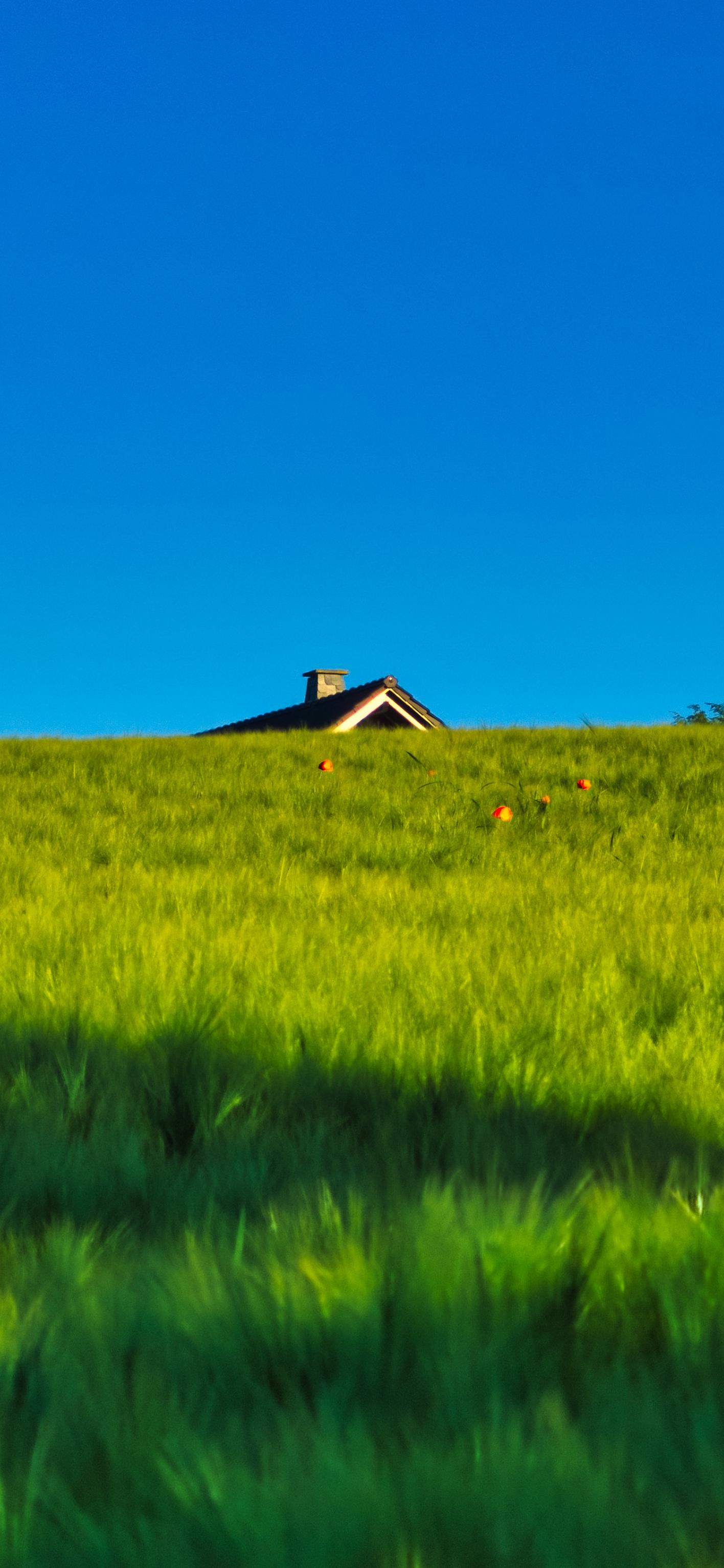 遵守法律道德，远离色情内容，寻找正规娱乐方式——青清草原在线视频会员的技术特点与体验探讨