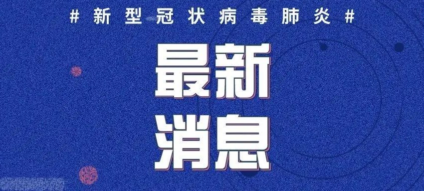 新冠肺炎最新动态及应对策略报告揭秘