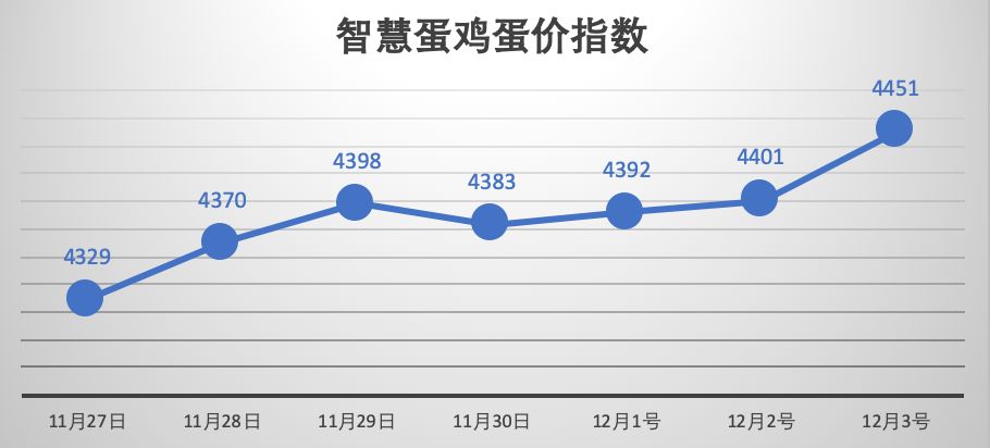 内地最新蛋价动态解析