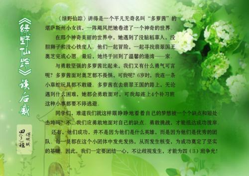 少年阿宾的奇幻之旅，72章全解析在线阅读指南