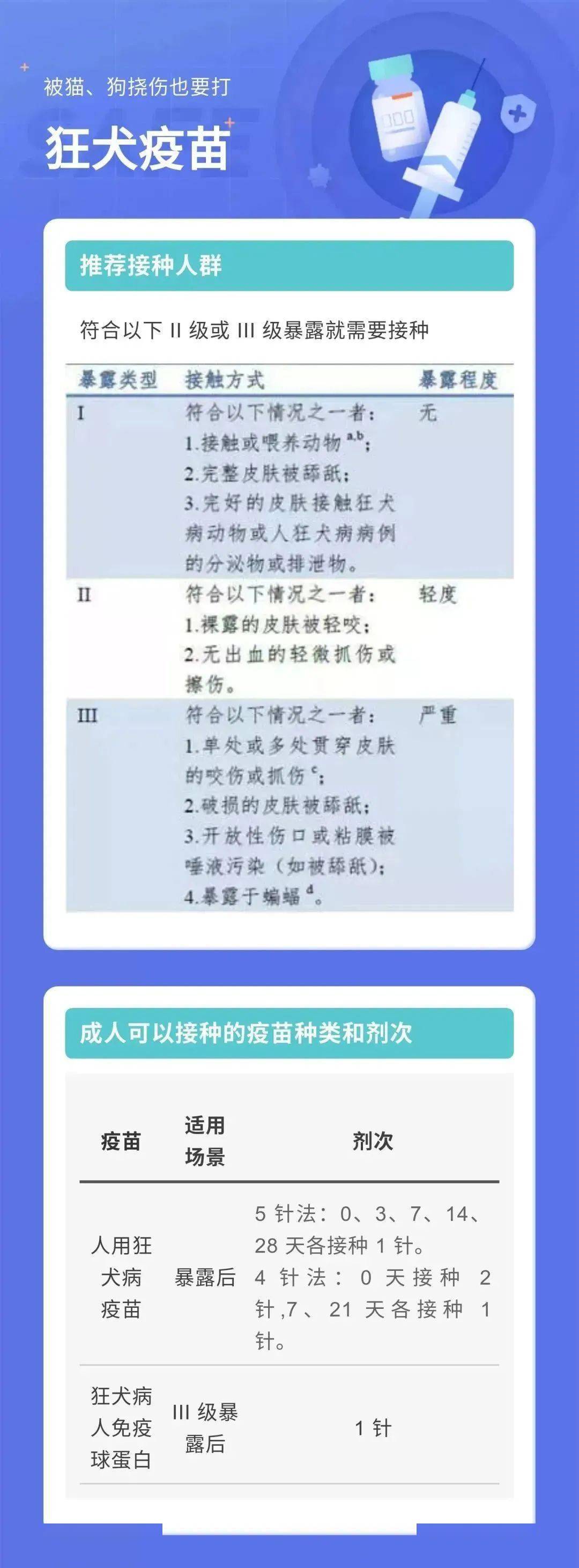 狂犬病医生在线解答，了解、预防与应对策略