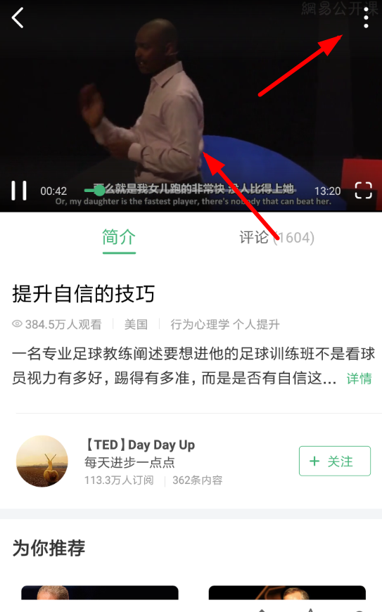 数字时代的文化共享与娱乐新纪元，免费视频在线播放开启公开新篇章