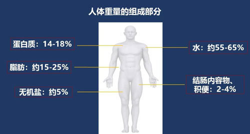 探究体脂肪率三围在线测量技术，现代健康管理的新选择