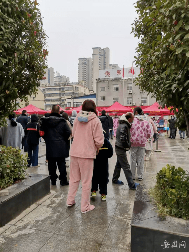 颍上疫情最新动态，坚定信心，共克时艰