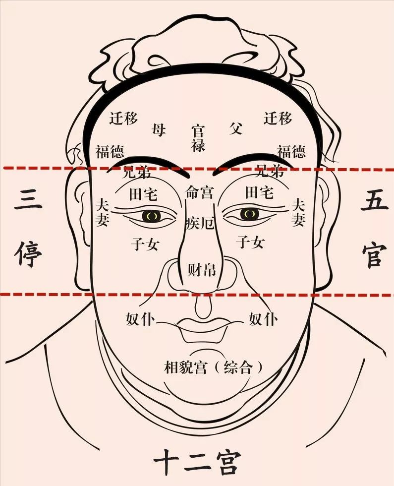 重塑认知与自我提升的关键要素，最新四官解析