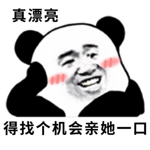 最新驱动力，引领我们生活的指南