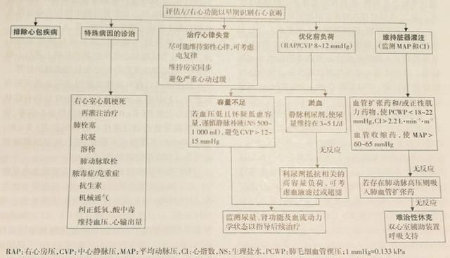 心衰最新诊断技术，进展与挑战概述