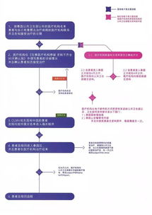 入境流程全面解析，高效便捷旅行体验指南